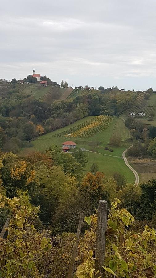 Kuca Za Odmor Nina Villa Sveti Martin Na Muri Dış mekan fotoğraf